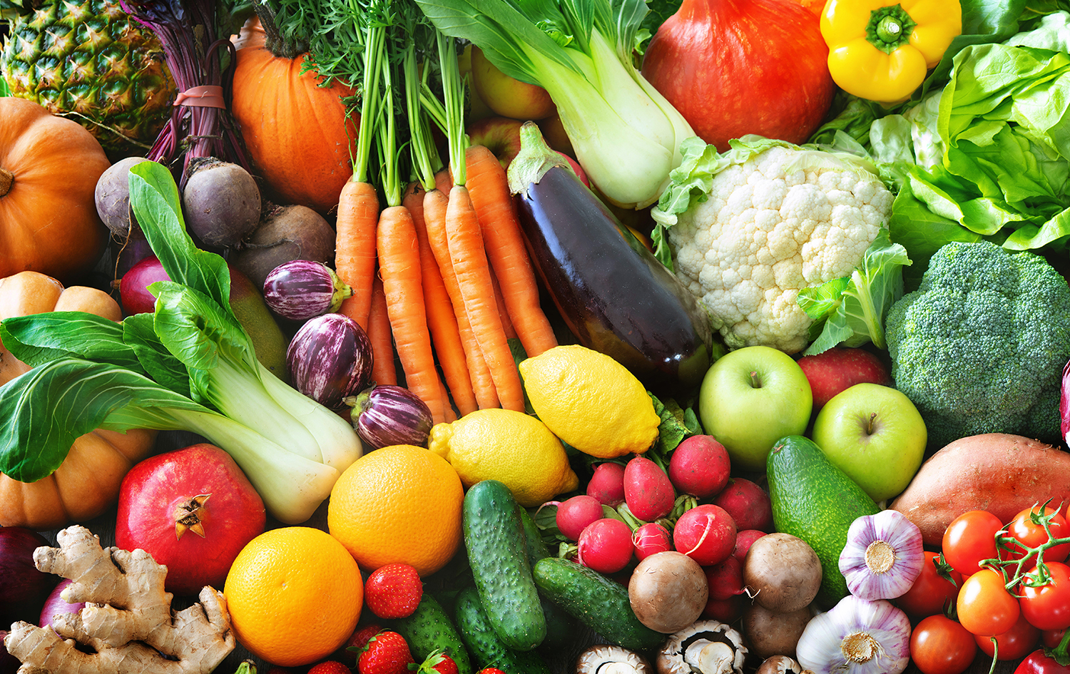 Cherokee Nation Proves Summer EBT Works